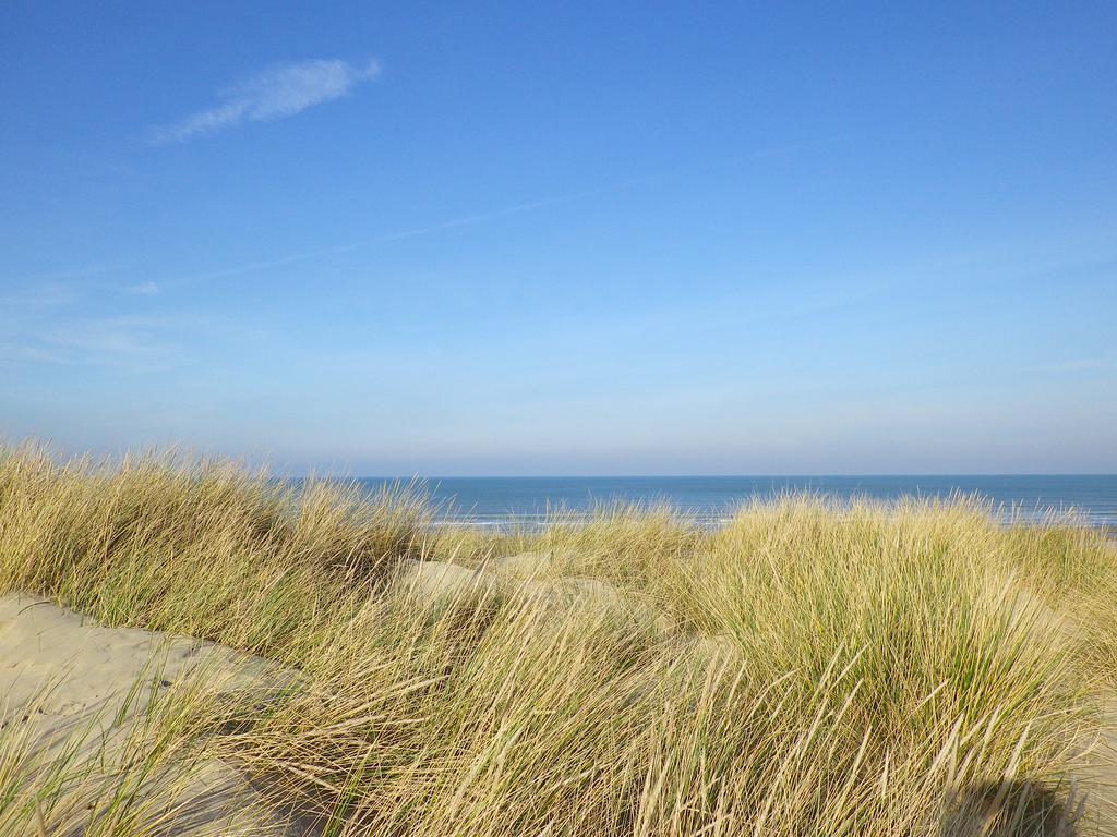 Evancy La Brise Des Dunes Bray-Dunes Eksteriør bilde
